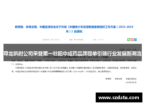 尊龙凯时公司荣登第一壮阳中成药品牌榜单引领行业发展新潮流