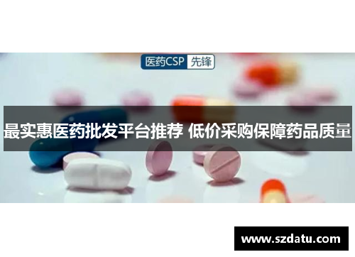 最实惠医药批发平台推荐 低价采购保障药品质量 最实惠医药批发平台推荐 低价采购保障药品质量