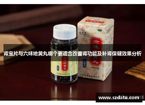 肾宝片与六味地黄丸哪个更适合改善肾功能及补肾保健效果分析