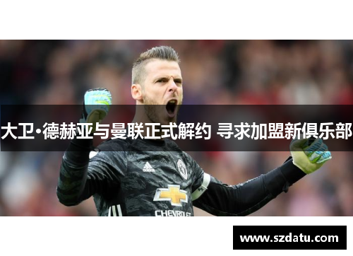 大卫·德赫亚与曼联正式解约 寻求加盟新俱乐部